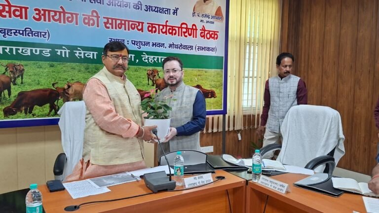 WhatsApp Image 2025-10-30 at 18.18.04_a80e7ad3